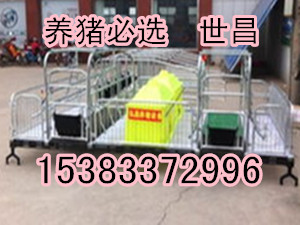 豬產床